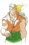 charlie-and-guile-streetfighteralpha-promotional-artwork-by-bengus.jpg (1127456 bytes)