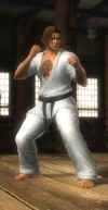 ein-doa5u-karate-screenshot.jpg (98187 bytes)