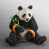 panda-vengeance.jpg (1514547 bytes)