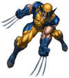 Wolverine-by-ed-tadeo.jpg (76966 bytes)