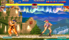 super-sf2-arcade-ryu-vs-cammy-screenshot.png (52640 bytes)