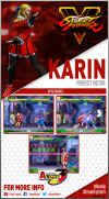karin-sfv-trading-card.jpg (222639 bytes)