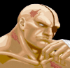 sagat-ultra-streetfighter2-character-select-art.png (157560 bytes)