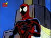 spidey-foxkids.jpg (19020 bytes)