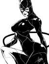 catwoman-dc-by-falcoon2017.jpg (64656 bytes)