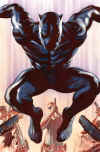 black-panther-jump.jpg (198048 bytes)