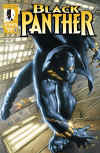 black-panther-marvel-knights-cover.jpg (292980 bytes)
