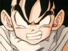 gohan-angry-face.png (221845 bytes)